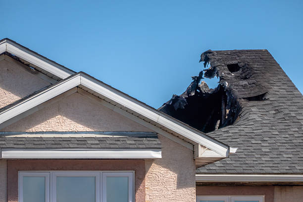 Top rated local Smoke Odor Removal specialists in Saint Bonifacius, MN
